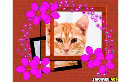 Moldura - Florsinhas Pink