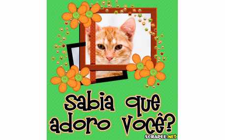 Moldura - Adoro Voce De Montao