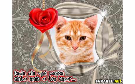 Moldura - Amor Que Cresce