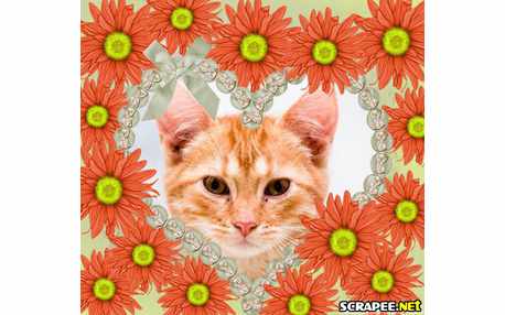 Moldura - Coracao Entre As Flores