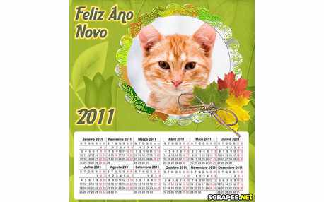 Moldura - Feliz 2011