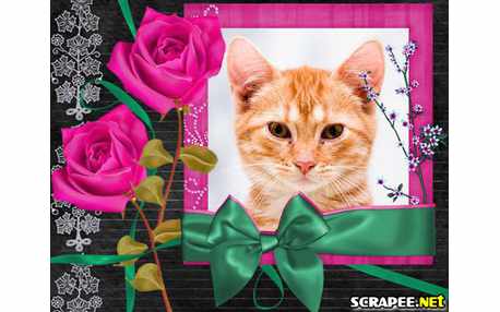 Moldura - Moldura Trabalhada