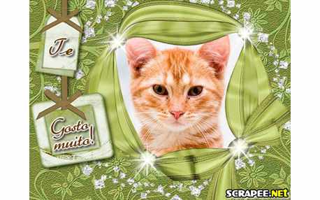 Moldura - Gosto Muito De Voce