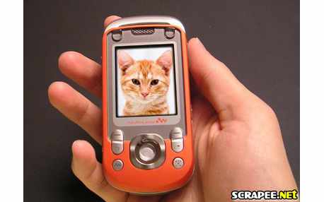 Moldura - Cell Phone