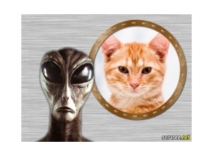 Moldura - Extraterrestre Extranho