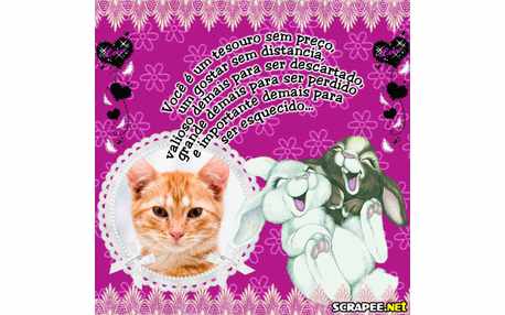 Moldura - So Alegria