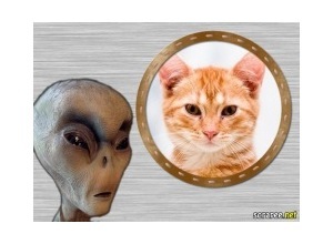 Moldura - Alienigena Esquisito