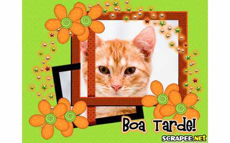 Moldura - Tarde Adoravel