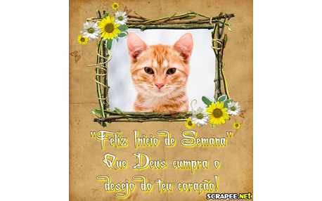 Moldura - Realizacoes