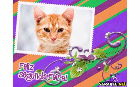 Moldura - Segunda Feira