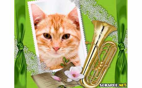 Moldura - Moldura De Tuba