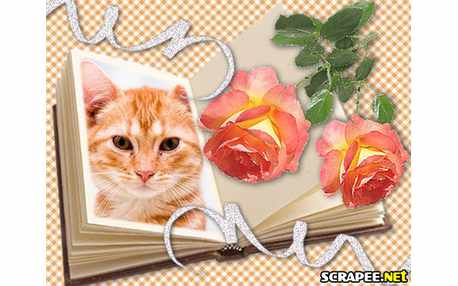 Moldura - Livro Com Rosas