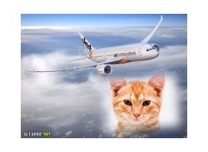 Moldura - Aviao Voando