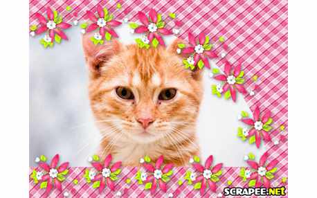 Moldura - Moldura Para Foto