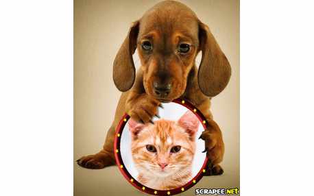 Moldura - Filhotinho