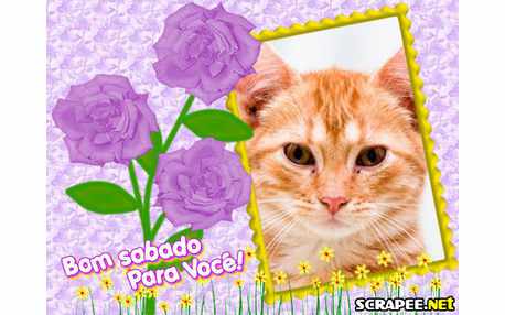 Moldura - Bom Sabado