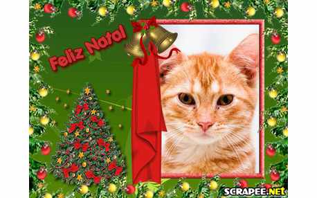 Moldura - Natal 2011