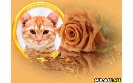 Moldura - Rosa Salmon