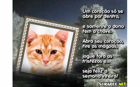 Moldura - Fechadura Do Coracao