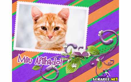 Moldura - Afiliado De Batizado