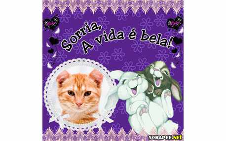 Moldura - A Vida E Bela