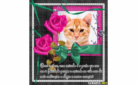 Moldura - Sentimento Nobre