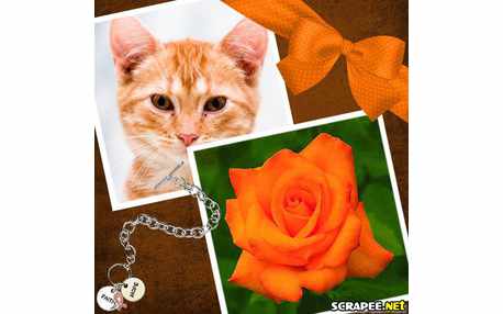 Moldura - Fotos Quadriculadas