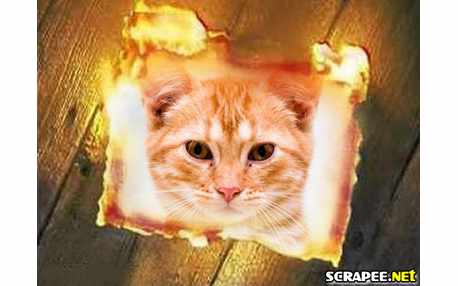 Moldura - Foto Queimando