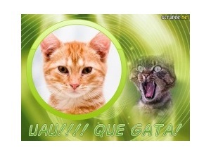 Moldura - Uau Que Gata