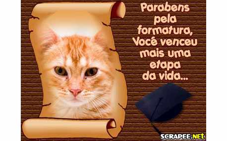 Moldura - Homenagem Aos Formandos