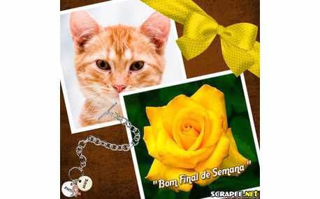 Moldura - Photo Scrap