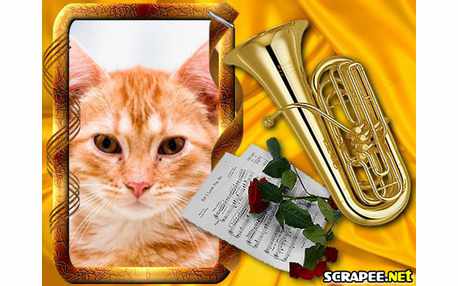 Moldura - Tuba Dourada