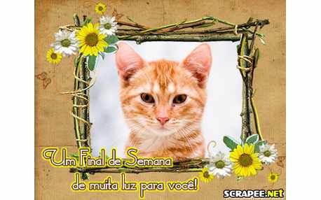 Moldura - Final De Semana De Luz