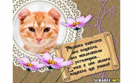 Moldura - Patrimonio Mais Valioso