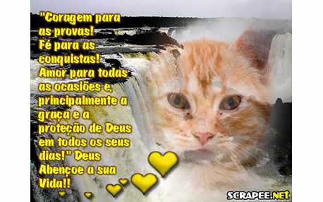 Moldura - Vida Abencoada