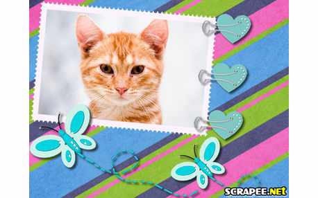 Moldura - Cartao Com Foto