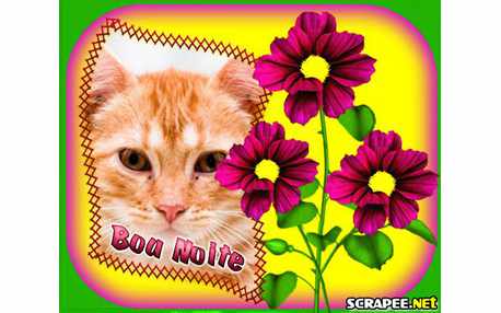 Moldura - Cartao De Boa Noite