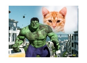 Moldura - O Incrivel Hulk