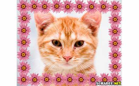 Moldura - Borda De Florsinhas