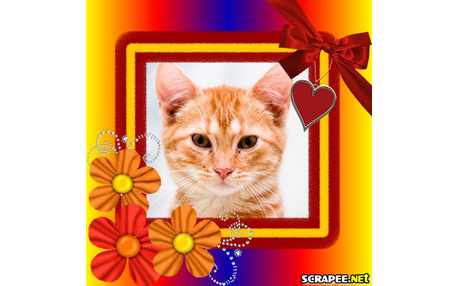 Moldura - Moldura Colorida