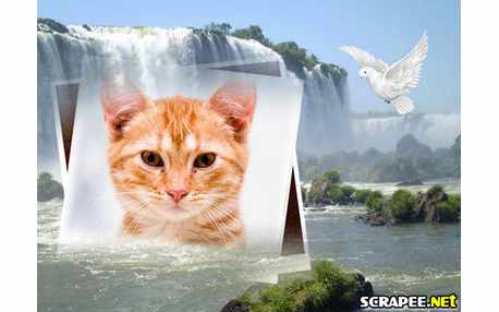 Moldura - Foz Do Iguacu