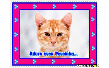 Moldura - Adoro Essa Pessoinha