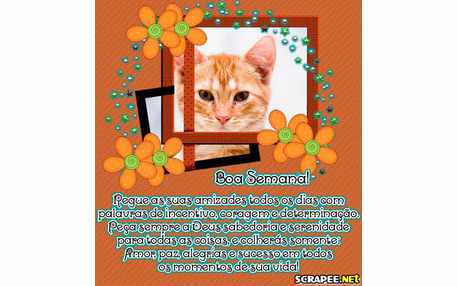 Moldura - Palavras De Incentivo