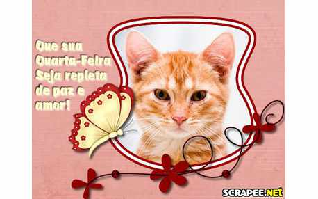 Moldura - Quarta Feira Linda