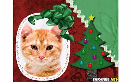 Moldura - Montagem Para O Natal