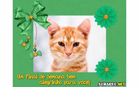 Moldura - Moldura De Fim De Semana