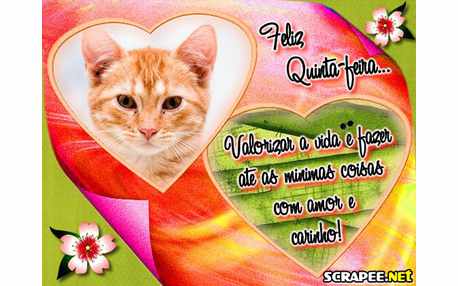 Moldura - Valorizando A Vida