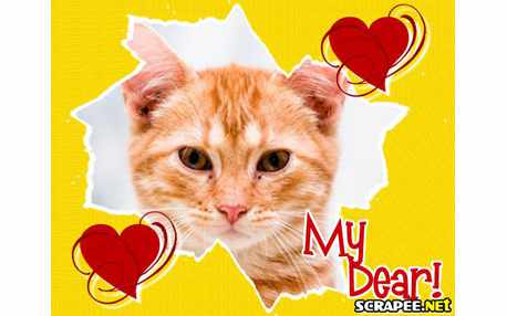 Moldura - Meu Querido