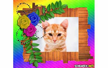 Moldura - Arranjo Colorido