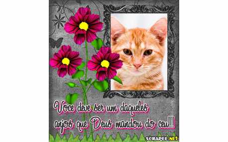 Moldura - Enviados Do Ceu